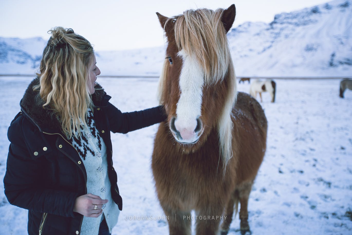 冰岛羊毛衣 Lopapeysa｜来冰岛旅行最棒最实用的纪念品 | Guide to Iceland
